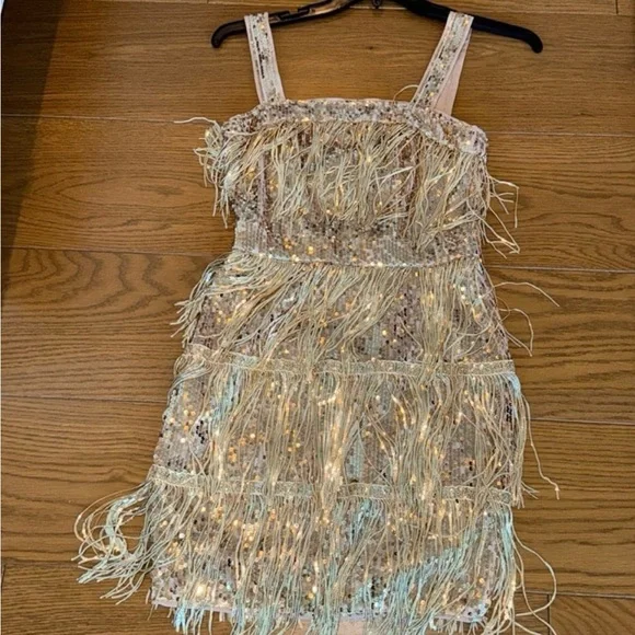 Taylor Swift Fearless Gold Fringe Dress - Picture 3 of 3